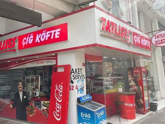 نمایندگی تاتلیسس گیدا در ترکیه (Tatlıses Gıda)